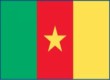 Cameroon333 Flag