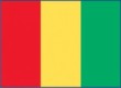 Guinea376 Flag
