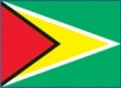 Guyana378 Flag