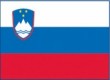 Slovenia471 Flag