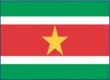 Suriname478 Flag
