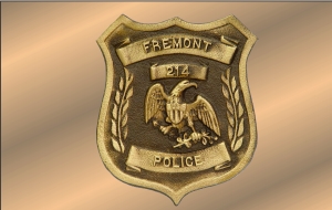 Bronze Plaque Police